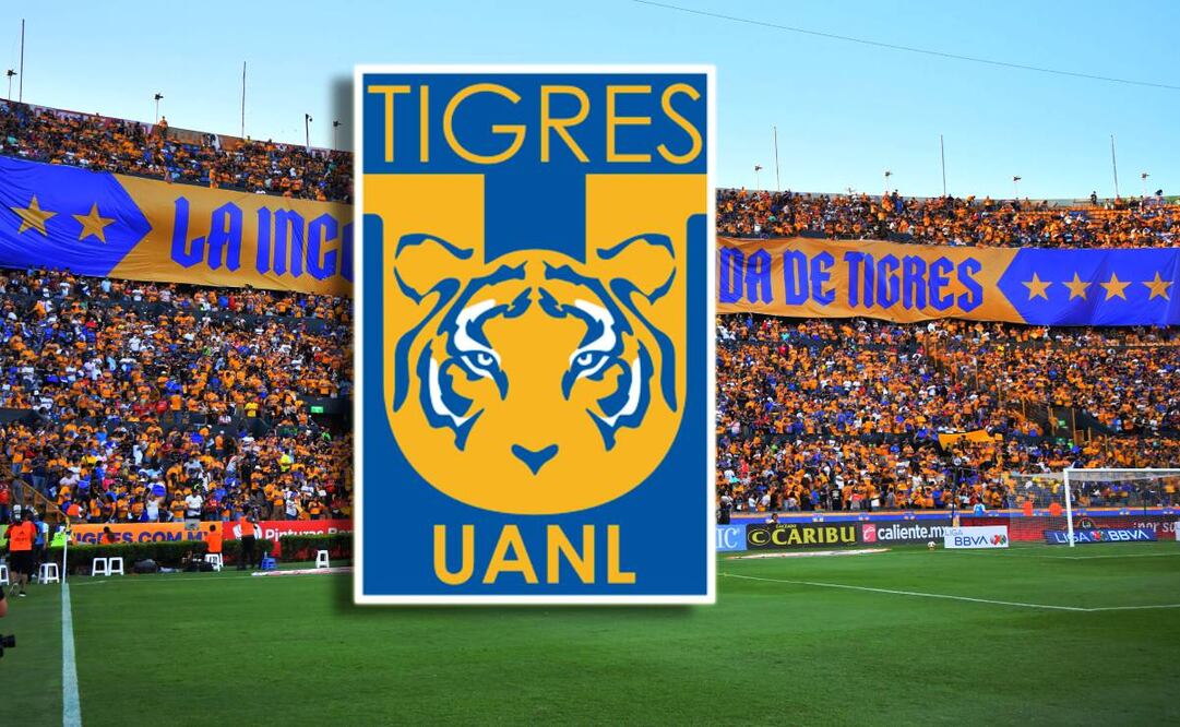 Tigres. FOTO: Imago7