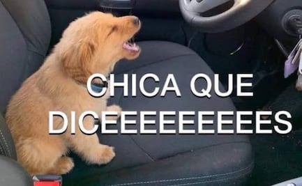 Los mejores memes y reacciones por concierto de Rosalía en el Zócalo