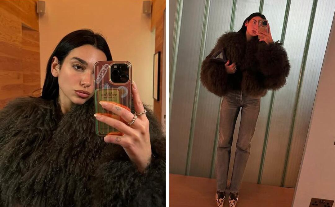 Dua Lipa decidió agarrar el iPhone de un fan para grabar un video, causando revuelo. Foto: Instagram @dualipa