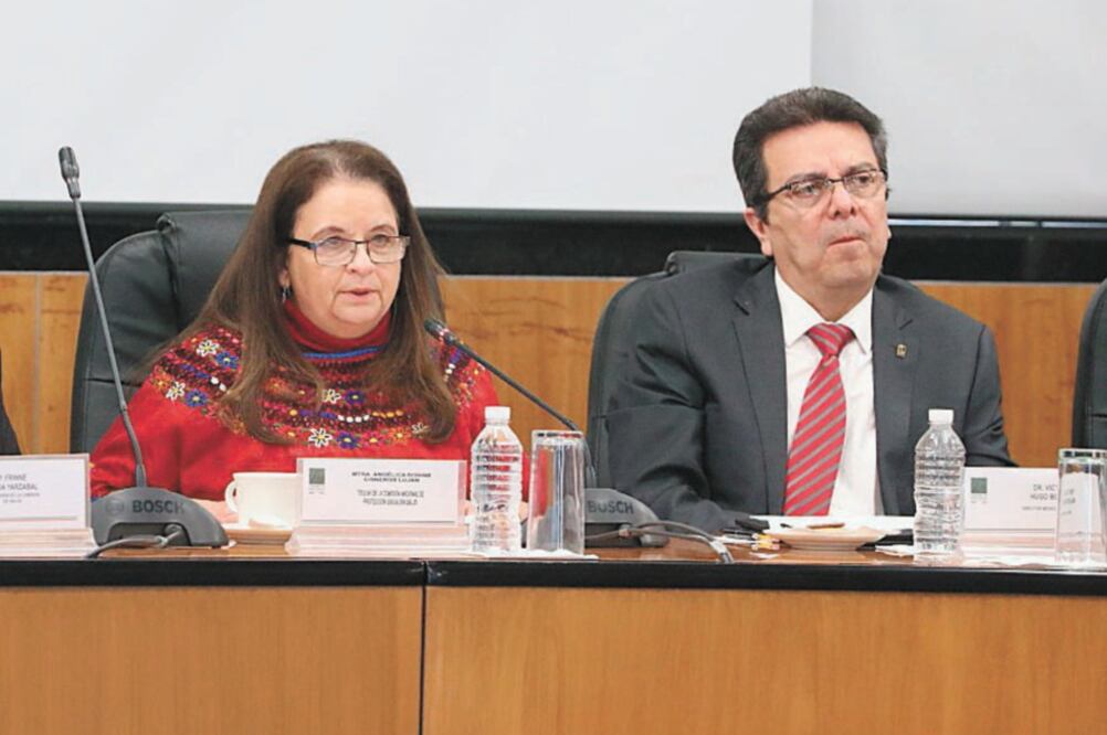 Víctor Hugo Borja, director de Prestaciones Médicas del IMSS, y legisladores discuten en parlamento abierto opciones para crear el Insabi. Foto/ESPECIAL