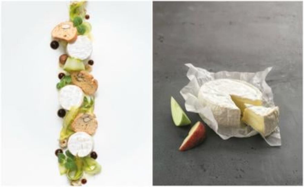 Descubre el delicioso mundo del queso