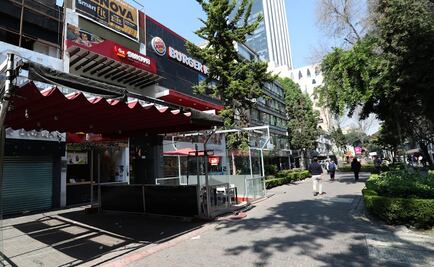 Ambulantes no acuden a cancelación de obras en Zona Rosa