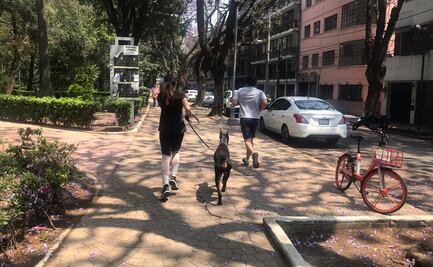 Crónica. Pese a contingencia por Covid-19, capitalinos no cumplen aislamiento