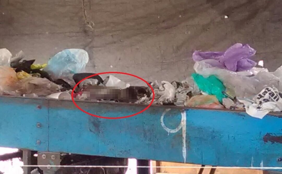 Foto: Cortesía Igavec