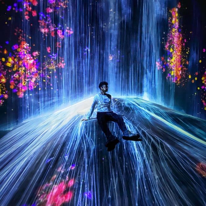 MORI Building Digital Art Museum: teamLab Borderless. Foto: Daniel Velázquez