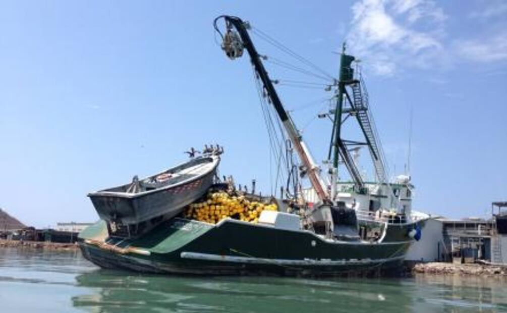 Capta noroeste 66% del subsidio a pesca en México