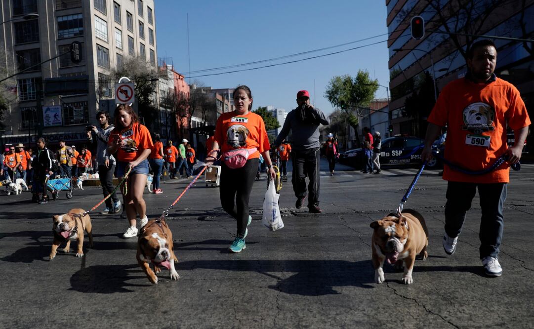 Foto: Iván Stephens / EL UNIVERSAL