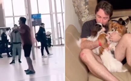 Final feliz: Encuentran a perritos extraviados en aeropuerto tras llanto viral de su dueño