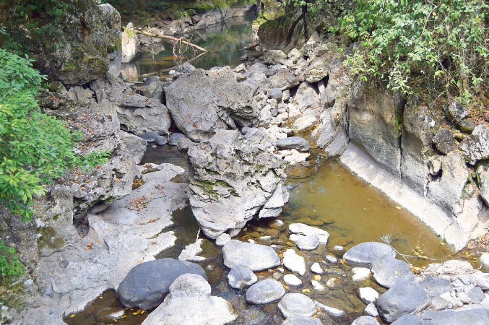 Vecinos señalan que los cultivos de caña y limón, además de utilizar grandes cantidades de agua, contaminan el subsuelo con agroquímicos