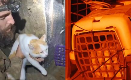 VIDEO: Soldados ucranianos rescatan a un gatito con ayuda de un robot