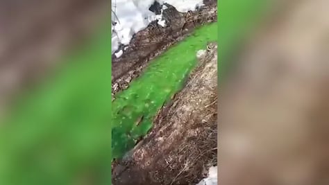 ¿Agua contaminada en Rusia?, río se tiñe de "color verde brillante"