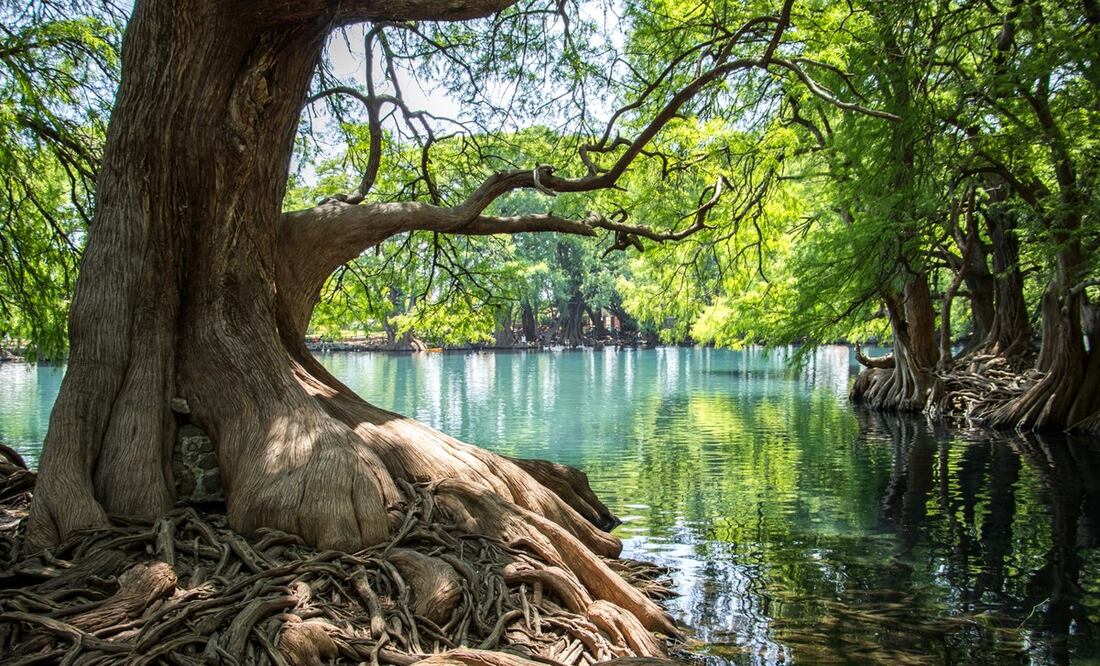 Lago de Camécuaro en Michoacán. Foto: Facebook Parque Nacional Lago de Camécuaro