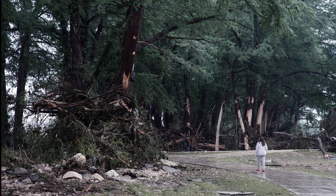 Una mujer observa los daños causados a los árboles por las inundaciones en Kerrville, Texas, Estados Unidos, el 5 de julio de 2025. Foto: EFE