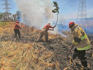 Veracruz registra 6 incendios forestales en la primera semana del 2020