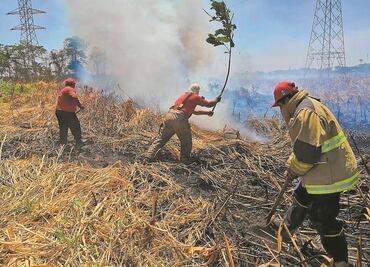 Veracruz registra 6 incendios forestales en la primera semana del 2020