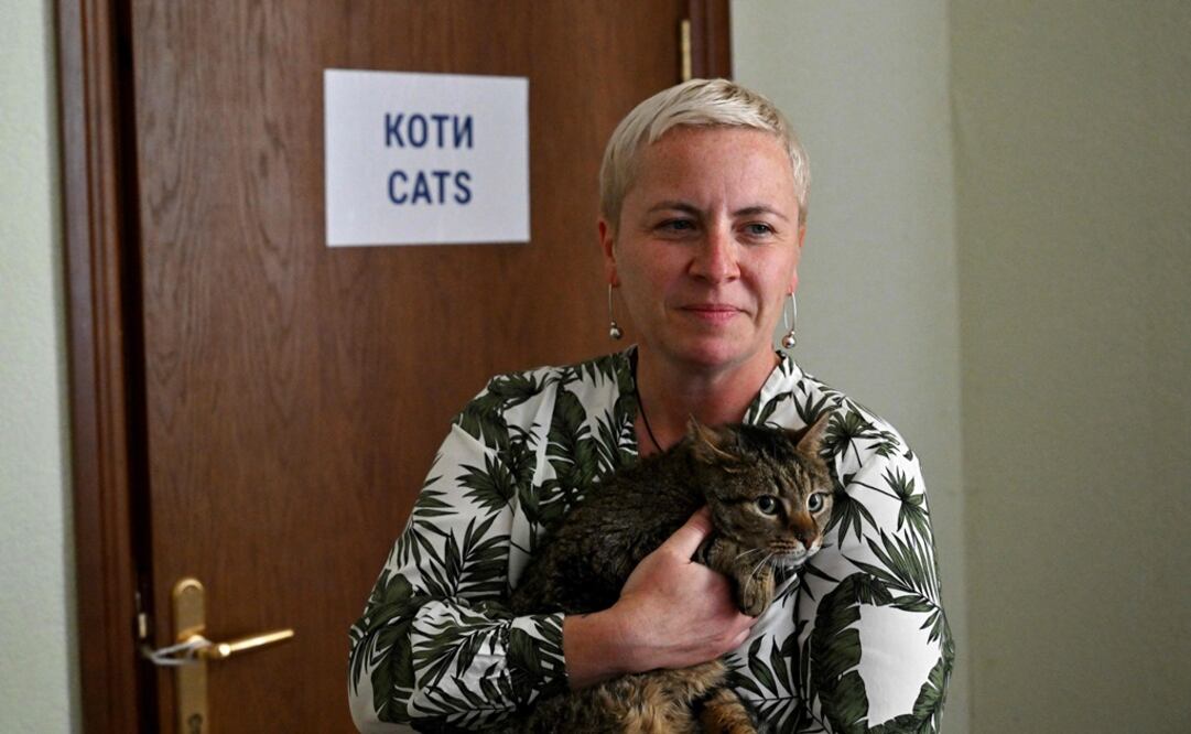 Veterinaria Nataliya Mazur sostiene a Murzik, un gato de 3 años, mientras habla con periodistas de AFP en un refugio temporal para animales en la capital ucraniana. Foto: AFP 
