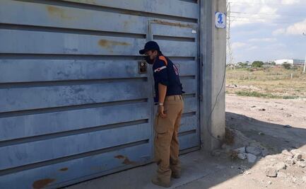 Sin licencia de operación, empresa responsable de tráiler que transportaba perros y gatos muertos, señalan autoridades 