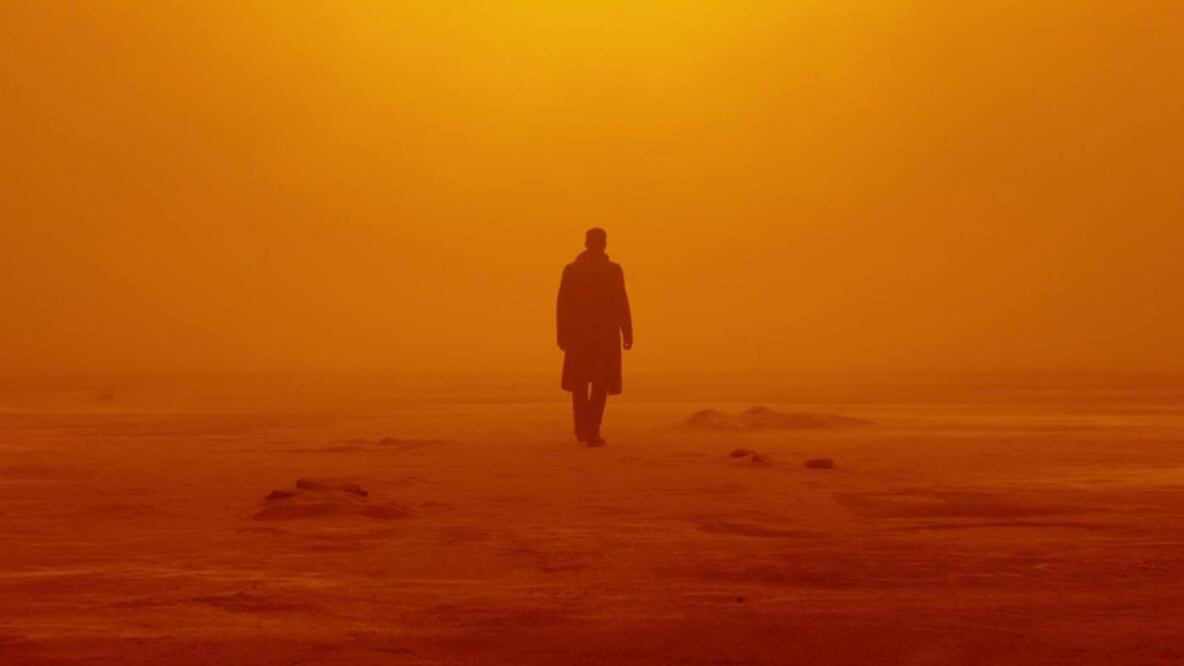 Blade Runner 2049, o el heredero indomable