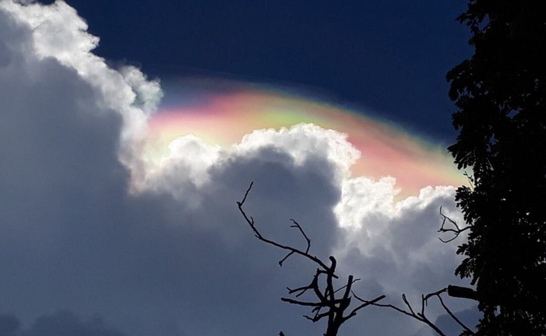 Reportan en Mérida, fenómeno conocido como Pileus. Foto: Especial