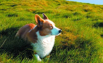 Houellebecq fraterniza con los fumadores en su exposición