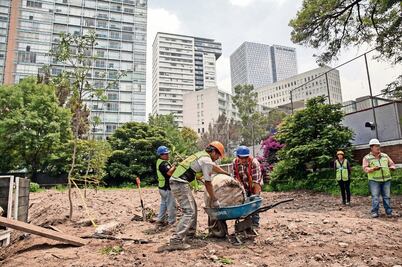 Obra no afecta medio ambiente: cervecera