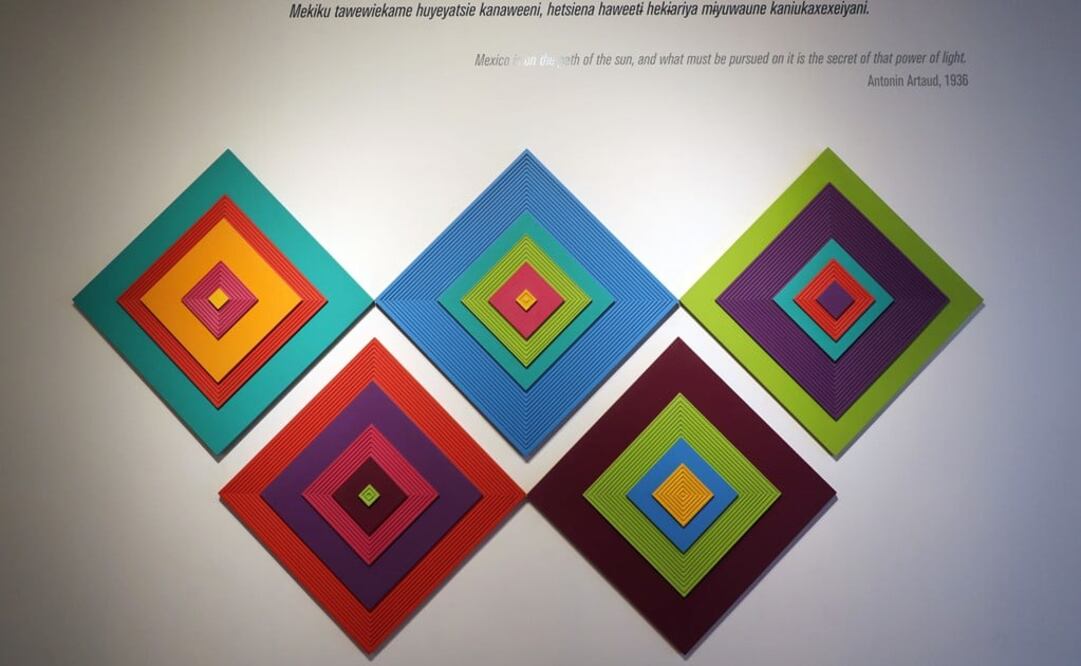 The live in the Sierra Madre Occidental, a mountain range in western Mexico - Photo: Juan Carlos Reyes García/EL UNIVERSAL