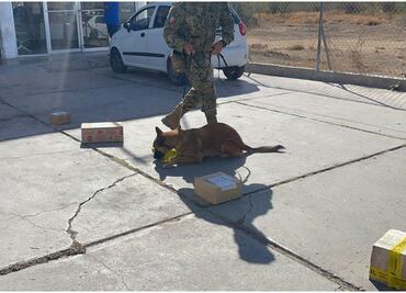 Despliegan operativo en aeropuerto de La Paz, BCS; aseguran 3 paquetes con presunta droga