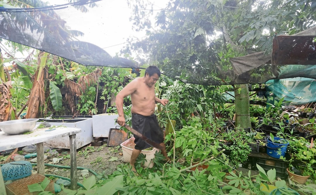 Devastación de vivero de la familia Canultech Foto: Valente Rosas EL UNIVERSAL