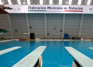 Nadadores, a rogar para que los dejen aceptar invitación