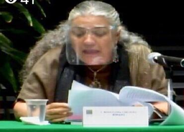 Diputado cuestiona ratificación de Elvira Concheiro como nueva Tesorera