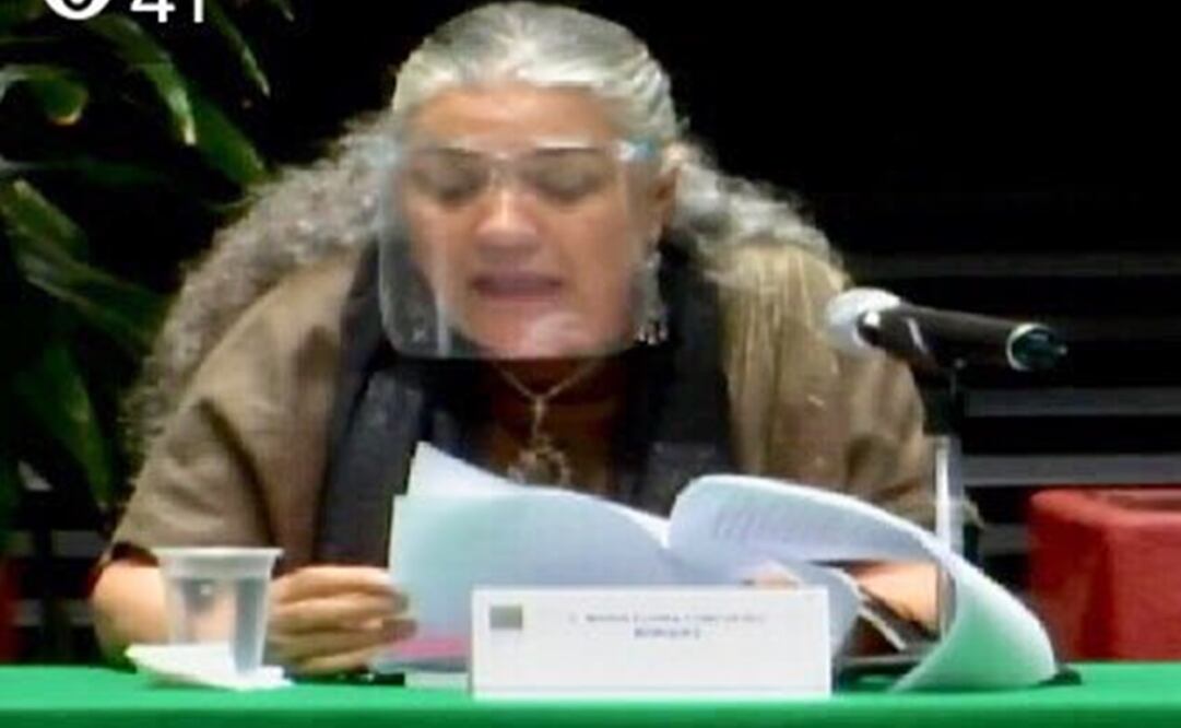 Foto: tomada de la cuenta de Twitter de la diputada Aleida Alavez Ruiz: @ALEIDAALAVEZ