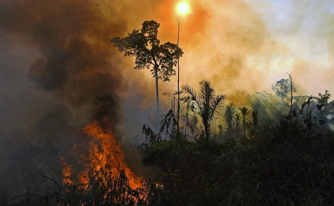 El fuego ha estado consumiendo varias hectáreas del Amazonia. Foto: CARL DE SOUZA / AFP