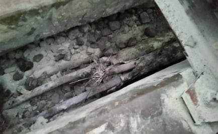 Restablecen servicio tras falla en L12 del Metro