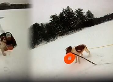 Perrita rescata a su dueño de un lago congelado en Michigan