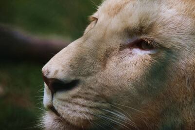 Cuánto cuesta la entrada al Parque Ecológico de Zacango