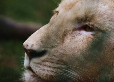 Cuánto cuesta la entrada al Parque Ecológico de Zacango