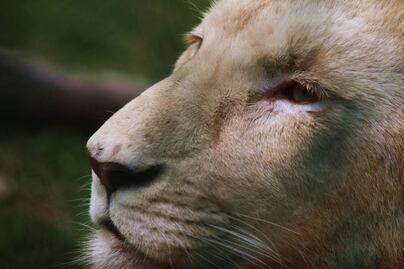 Cuánto cuesta la entrada al Parque Ecológico de Zacango