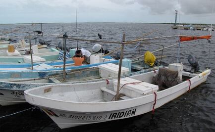 Pescadores cierran puerto Progreso por decomiso