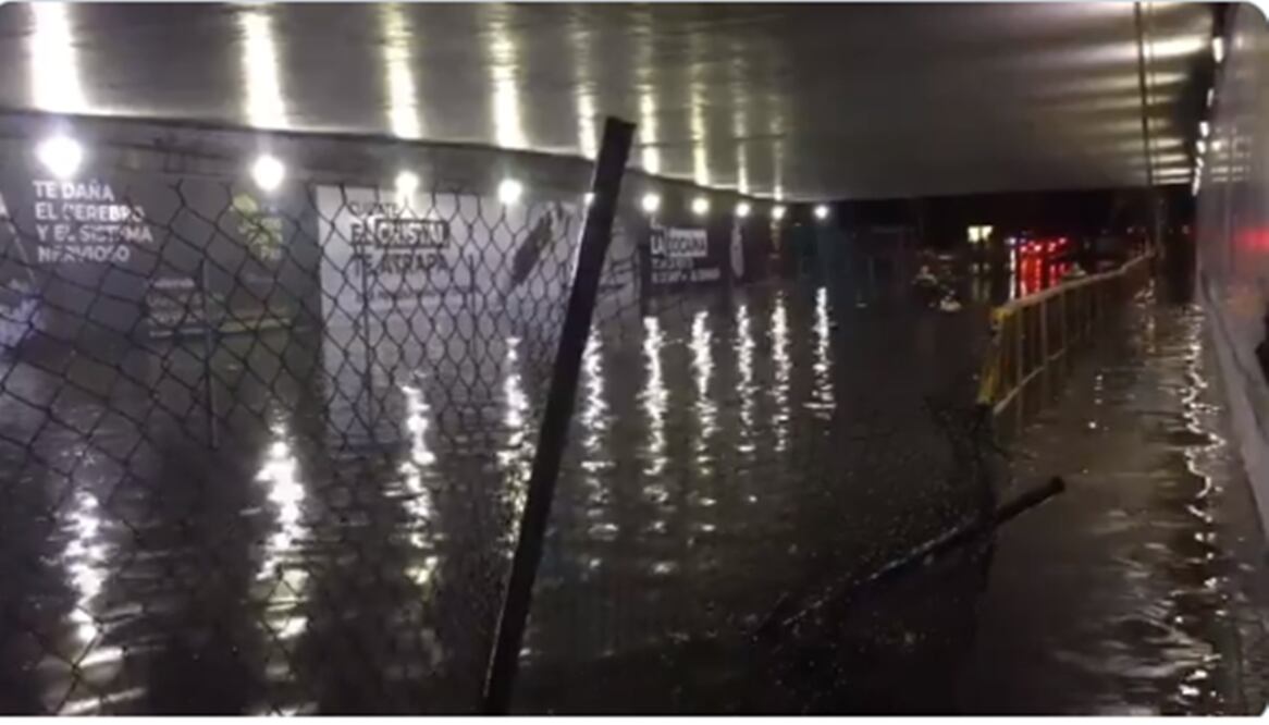 Foto: captura de pantalla 