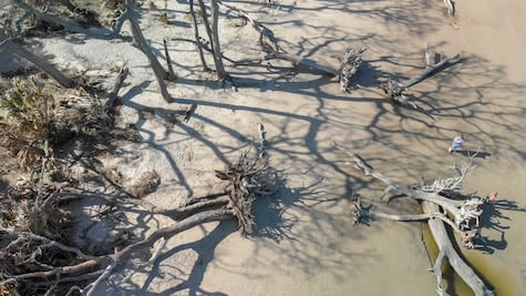 La biodiversidad no se salva con promesas, sino devolviendo el agua