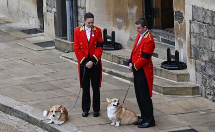 Perros corgi de Isabel II no están contentos porque Sarah Ferguson no los saca a pasear