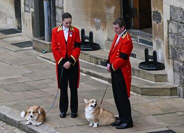Perros corgi de Isabel II no están contentos porque Sarah Ferguson no los saca a pasear