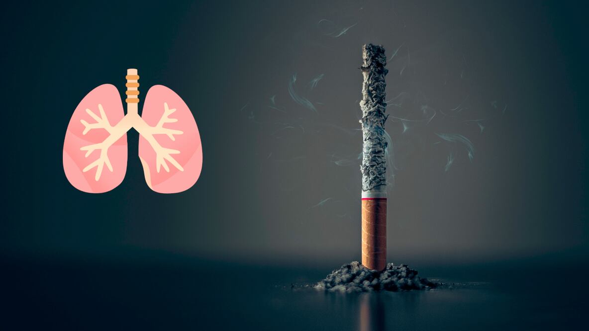 El cigarrillo y los pulmones. Fuente: Producción EU