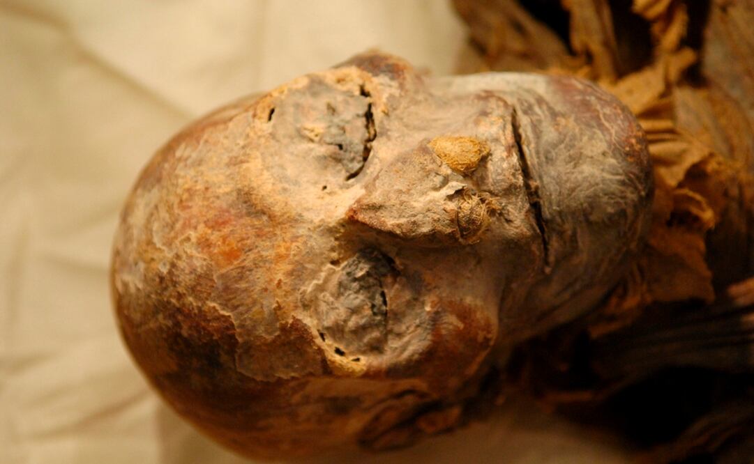 imagen genérica de un primer plano de la cabeza de una momia egipcia. Foto: EFE/Abdel Rahman Yousef. Archivo