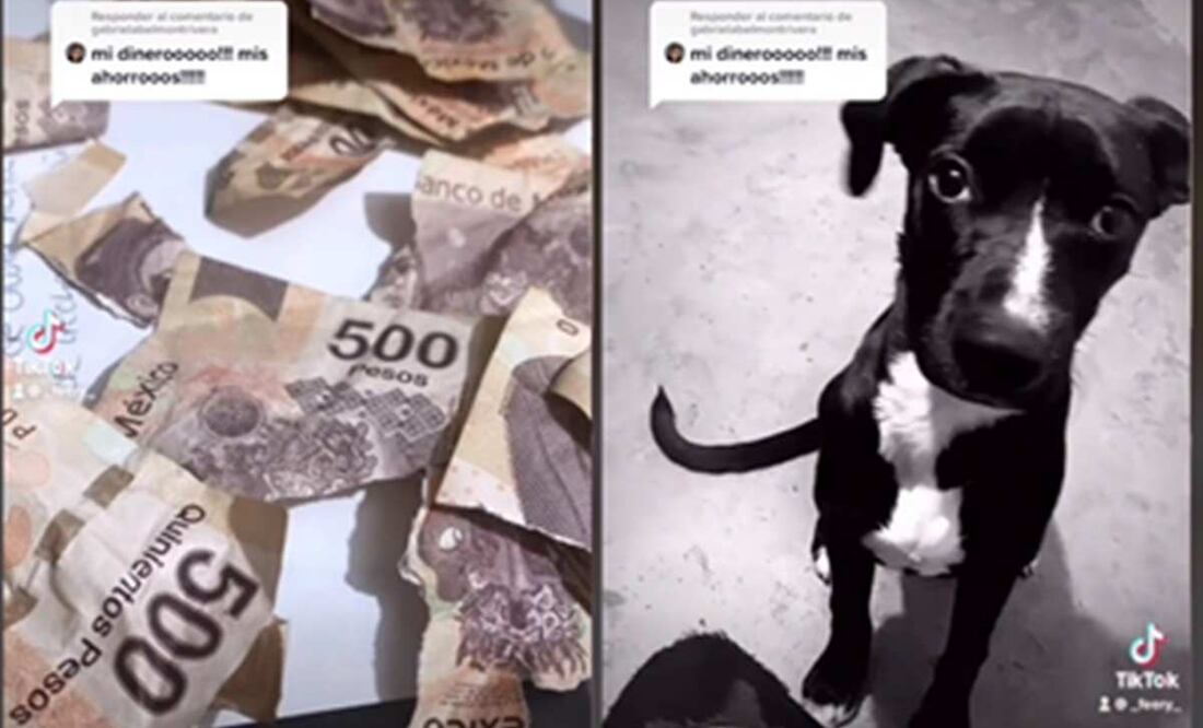 Imagen: Captura de pantalla