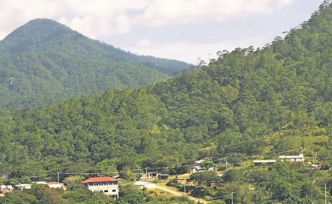El Congreso de Chiapas dice que acatará fallo a favor de Oaxaca. Foto: Roselia Chaca/ EL UNIVERSAL