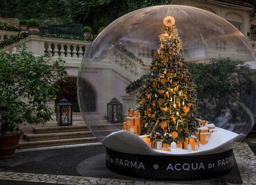 Dónde están los árboles de Navidad más lujosos del mundo