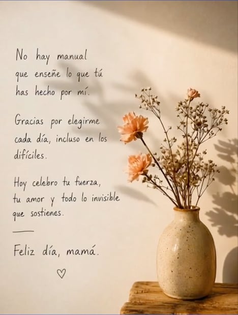 Imágenes del Día de las Madres. Foto: X @Ignacionovo