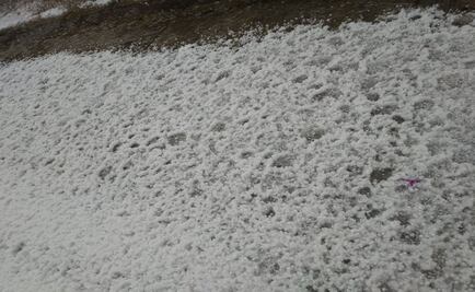 Afecta ​granizada una decena de municipios en Edomex