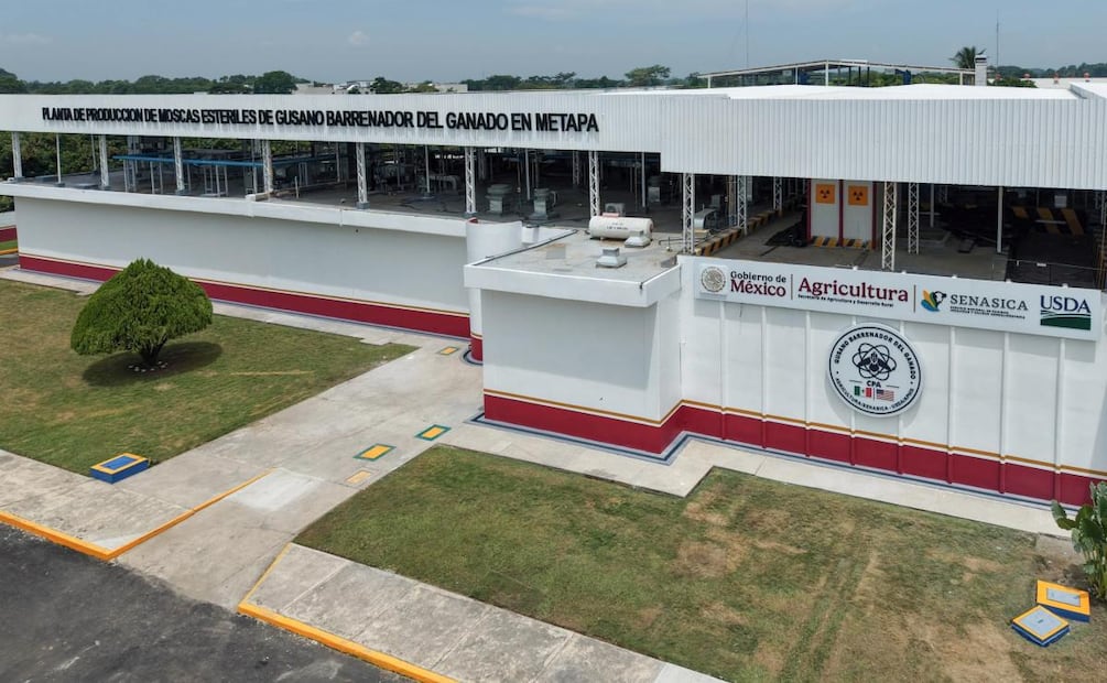 Planta de moscas estériles contra el gusano barrenador en Chiapas (27/06/2026). Foto: Presidencia